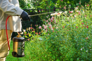 Service technicians in Easton, Connecticut, apply Natural Solution treatments to backyard plants.