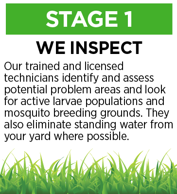 Stage 1: We inspect. Our trained and licensed technicians identify and assess potential problem areas and look for active larvae populations and mosquito breeding grounds. They also eliminate standing water from your yard where possible.