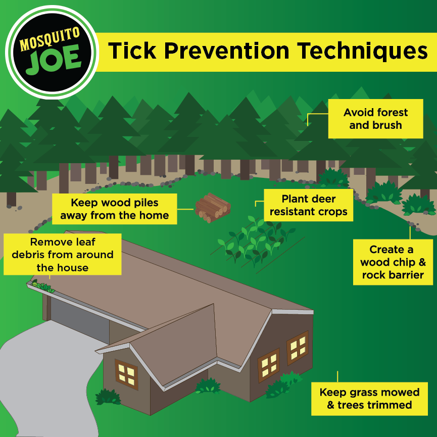 Tick Prevention Techniques, call Mosquito Joe of Gold Coast CT for tick prevention in your yard!