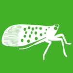 white vector image of spotted lanternfly on green background